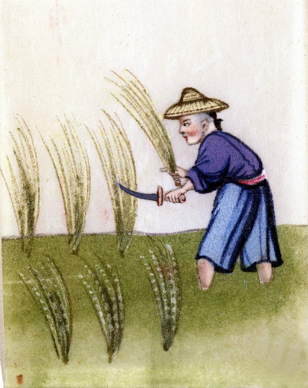Riisin viljely Kiinassa. Maalaus riisipaperille. Milanossa. tekijältä Unknown artist