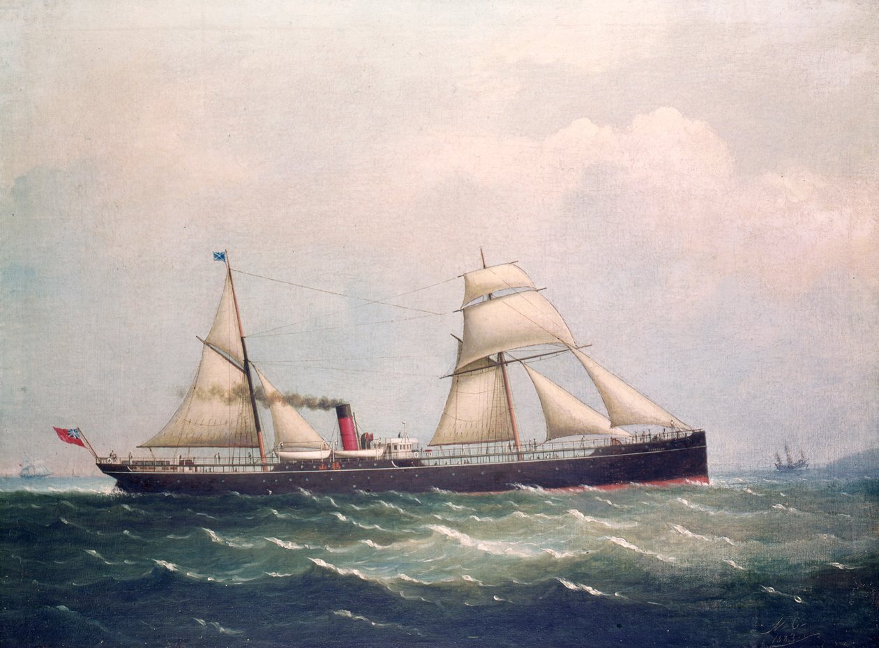 S.S Fooksang (öljy kankaalle) tekijältä Unknown artist