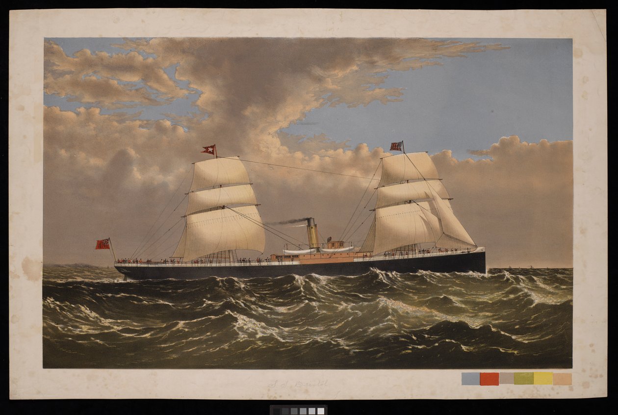 S S Bristol, White Star Line, n.1875 (vedos). tekijältä Unknown artist