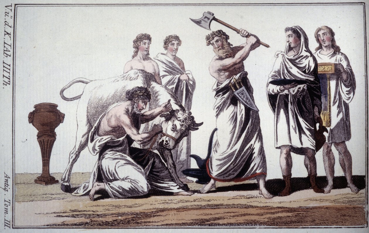 Härän uhraus. Rooman antiikin tapa. 1800-luvun alun kaiverrus. tekijältä Unknown artist