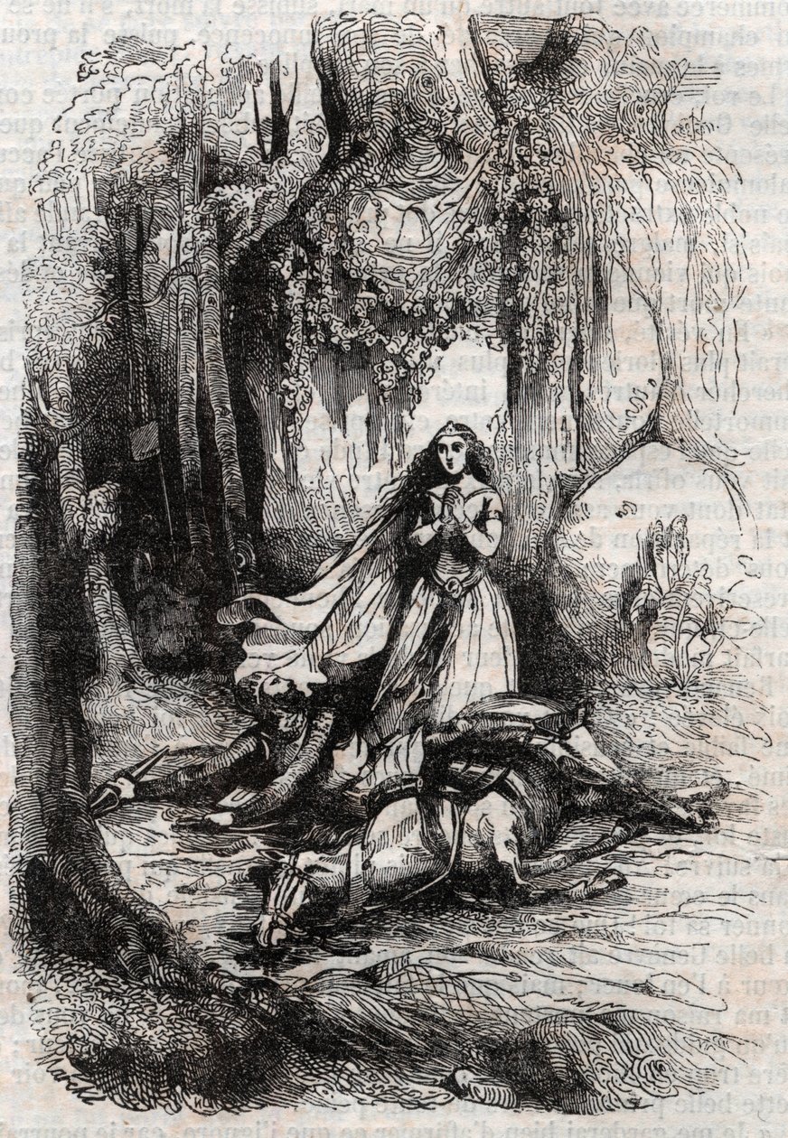 Sacripant (Sacrificer) desarconne Angelican (Angelica) läsnäollessa - kaiverrus vuodelta 1851 Ludovico Ariostosta "" Roland furieux"" (1500-luku), joka tunnetaan nimellä Ariosta - Painos kääntänyt italiasta kreivi Tressan ja p. tekijältä Unknown artist
