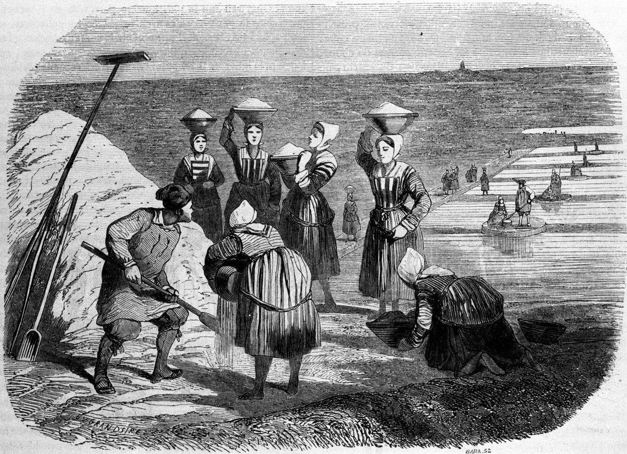 Suolan tuotanto: naiset työskentelevät suolamailla. 1800-luvun kaiverrus tekijältä Unknown artist