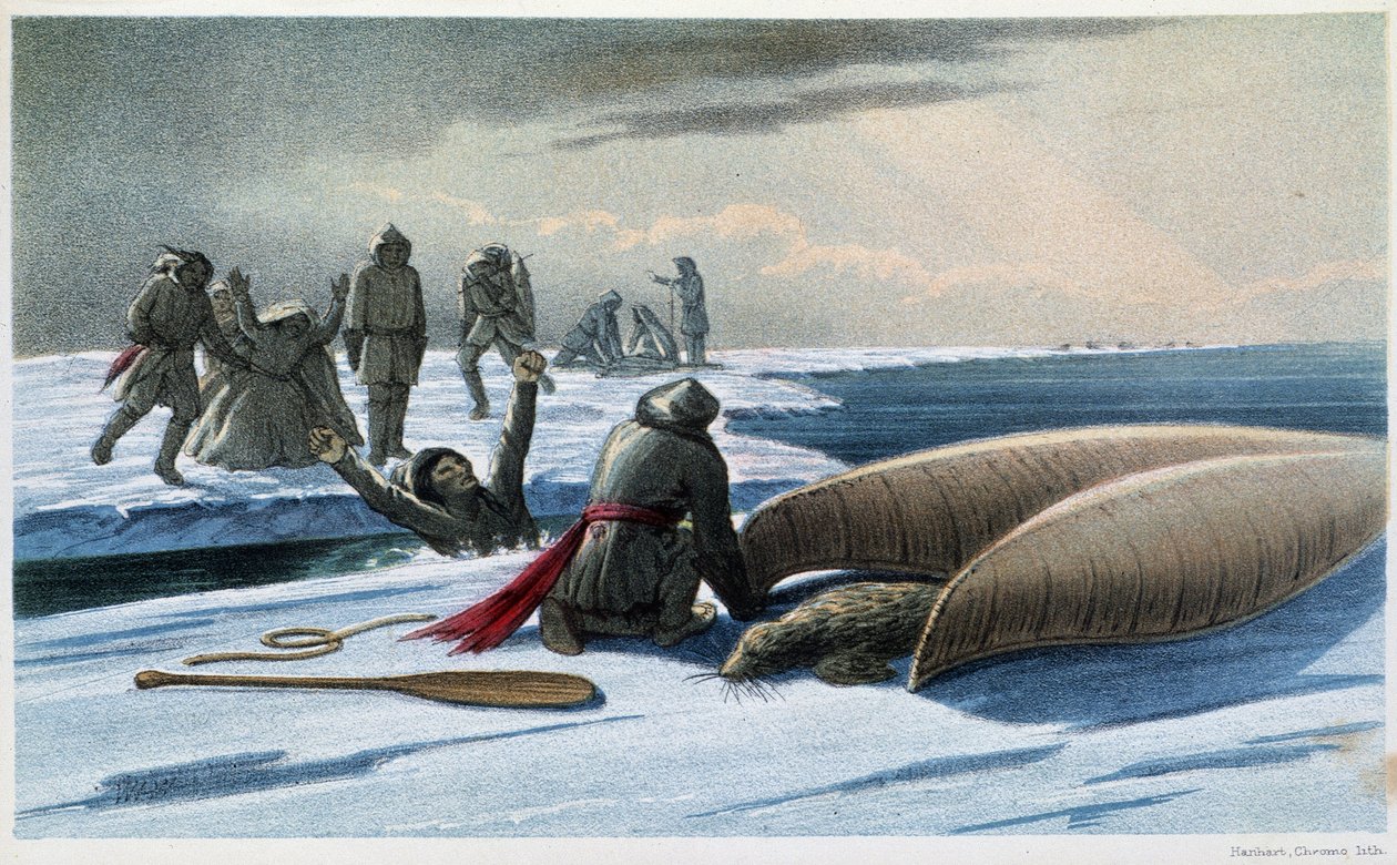 Hylkeenmetsästys: "" Hylkeenmetsästys lahdella"" - teoksessa "" Labradorin niemimaan tutkimus"", kirjoittaja Hind, Lontoo tekijältä Unknown artist