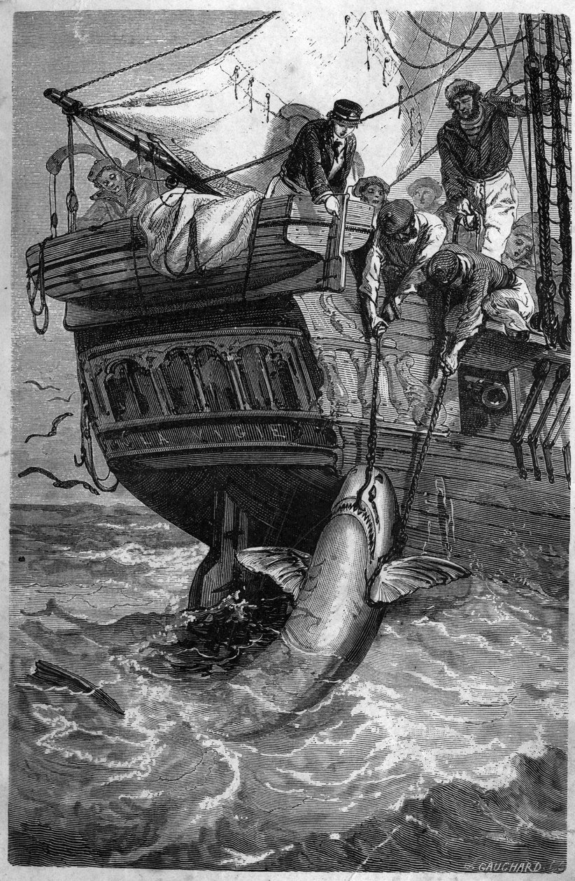 Hain kalastus. (Pesca allo squalo) 1800-luvun kaiverrus. Yksityinen kokoelma. tekijältä Unknown artist