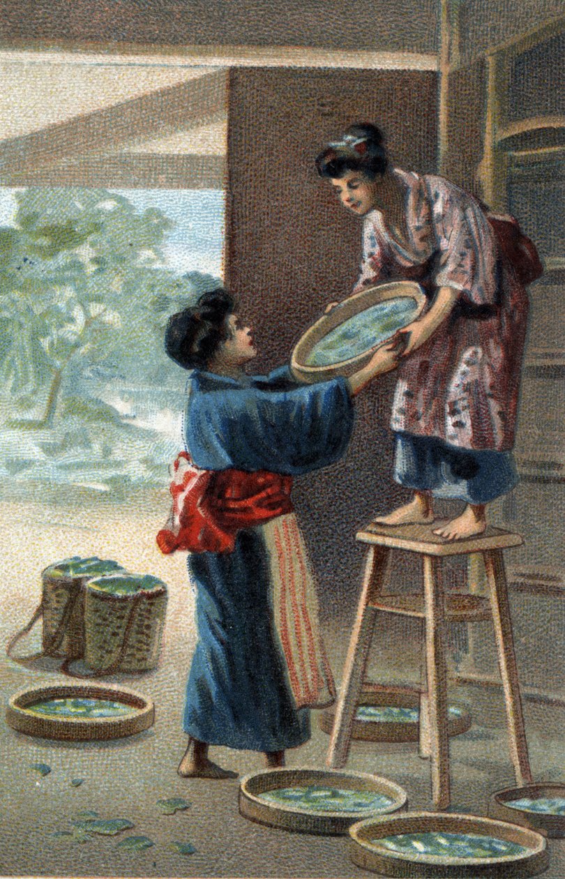 Silkkiäistoukkien lisääntyminen japanilaisessa magneetissa. 1800-luvun lopun kromolitografia. tekijältä Unknown artist