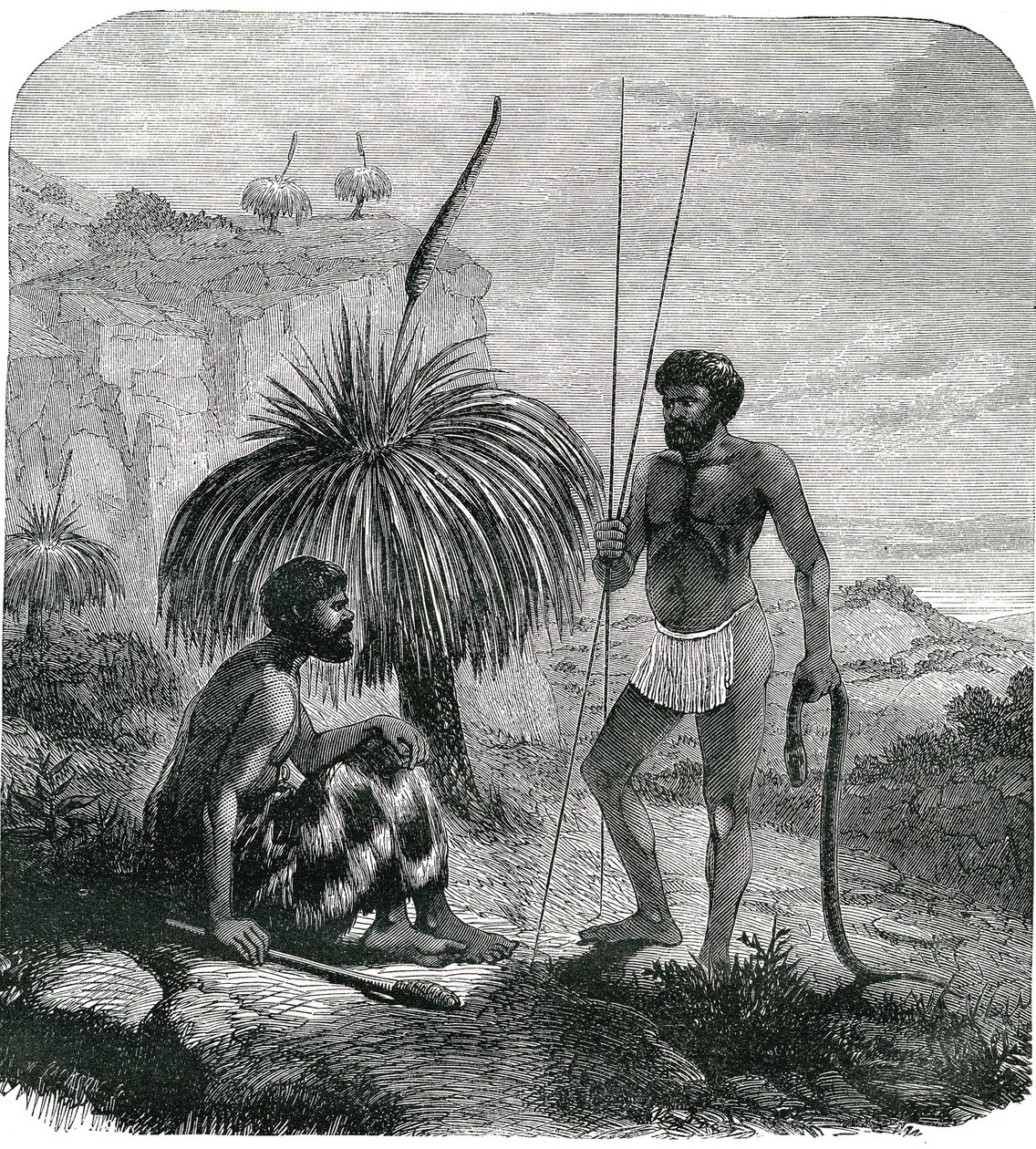 Käärmeenmetsästäjät Australiassa. Kaiverrus 1868 tekijältä Unknown artist