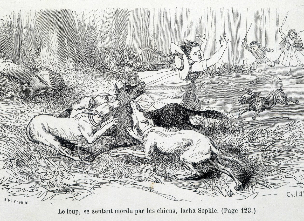 Sophie ja susi - Ségurin kreivitär Hachette "Sophien epäonnissa" tekijältä Unknown artist