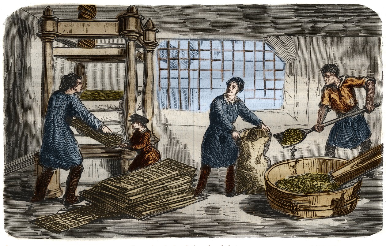 Sokerin valmistus: mehun uuttaminen juurikasmassasta. Massa täytetään pusseihin, jotka pinotaan hydraulipuristimen alustan alle. Kaiverrus vuodelta 1859 "" Tiedemuseossa"" tekijältä Unknown artist