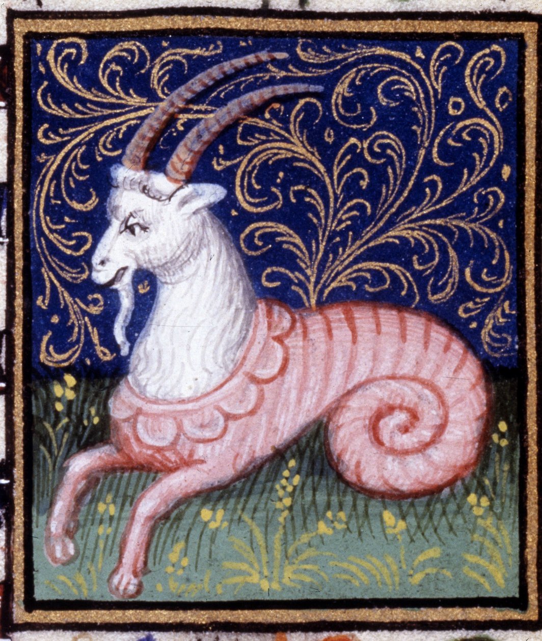 Kauris. Horoskoopin miniatyyri. 1500-luvun käsikirjoitus. Bibl. Trivulziana, Milano. tekijältä Unknown artist