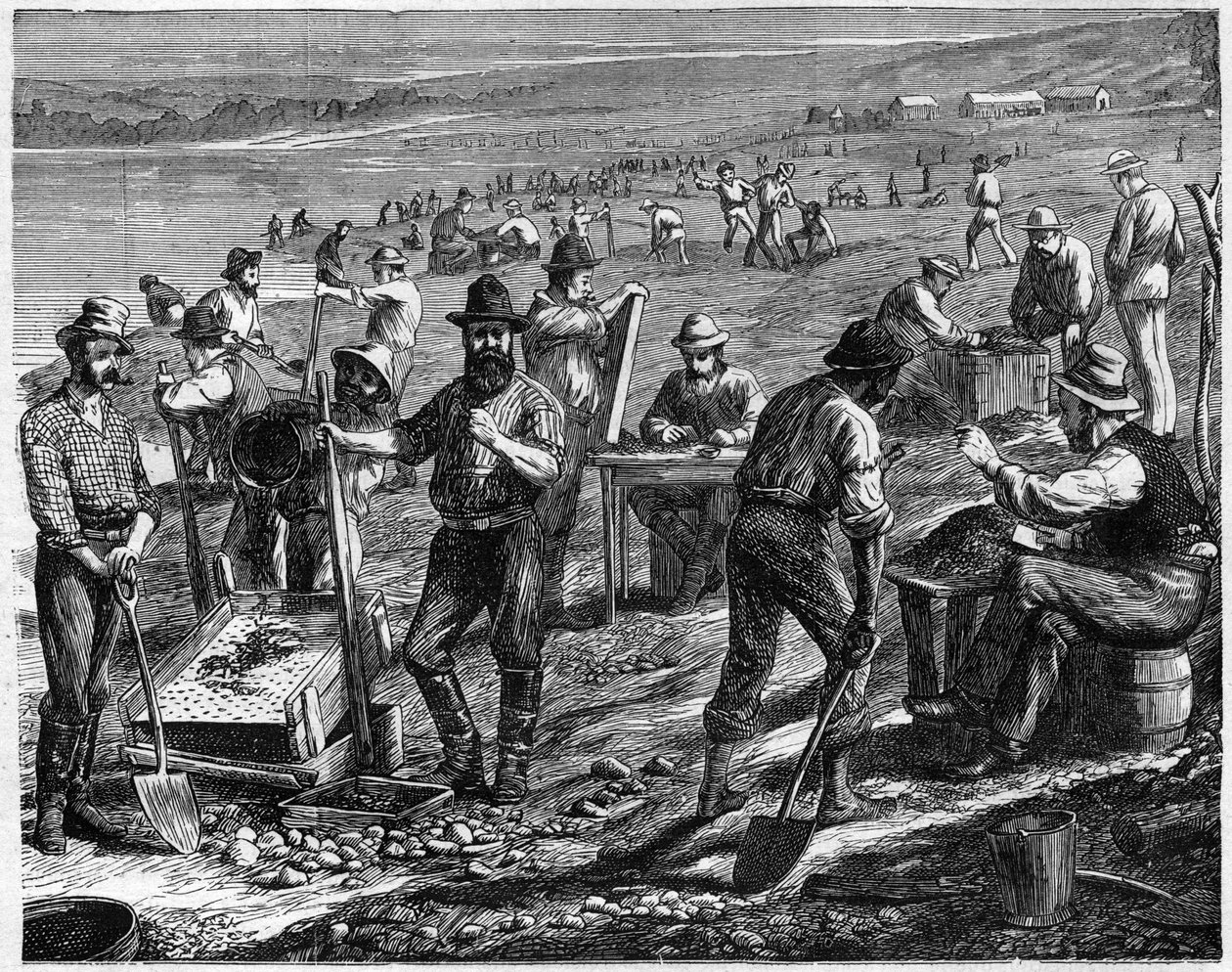 Timanttikentät Kapilla - Pese timantteja - Pese timantteja Etelä-Afrikassa 1800-luvulla. tekijältä Unknown artist