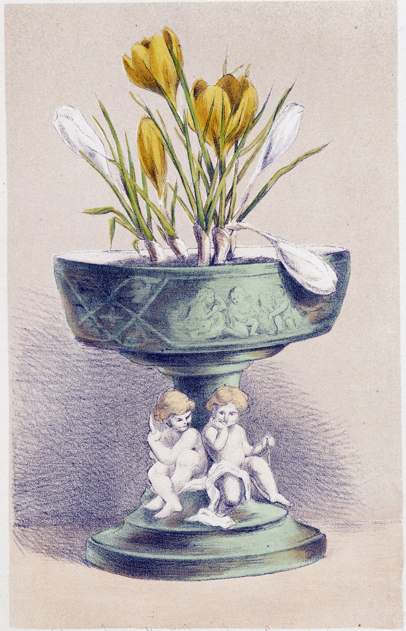 Neljä vuodenaikaa: kevät, narsissit tekijältä Unknown artist