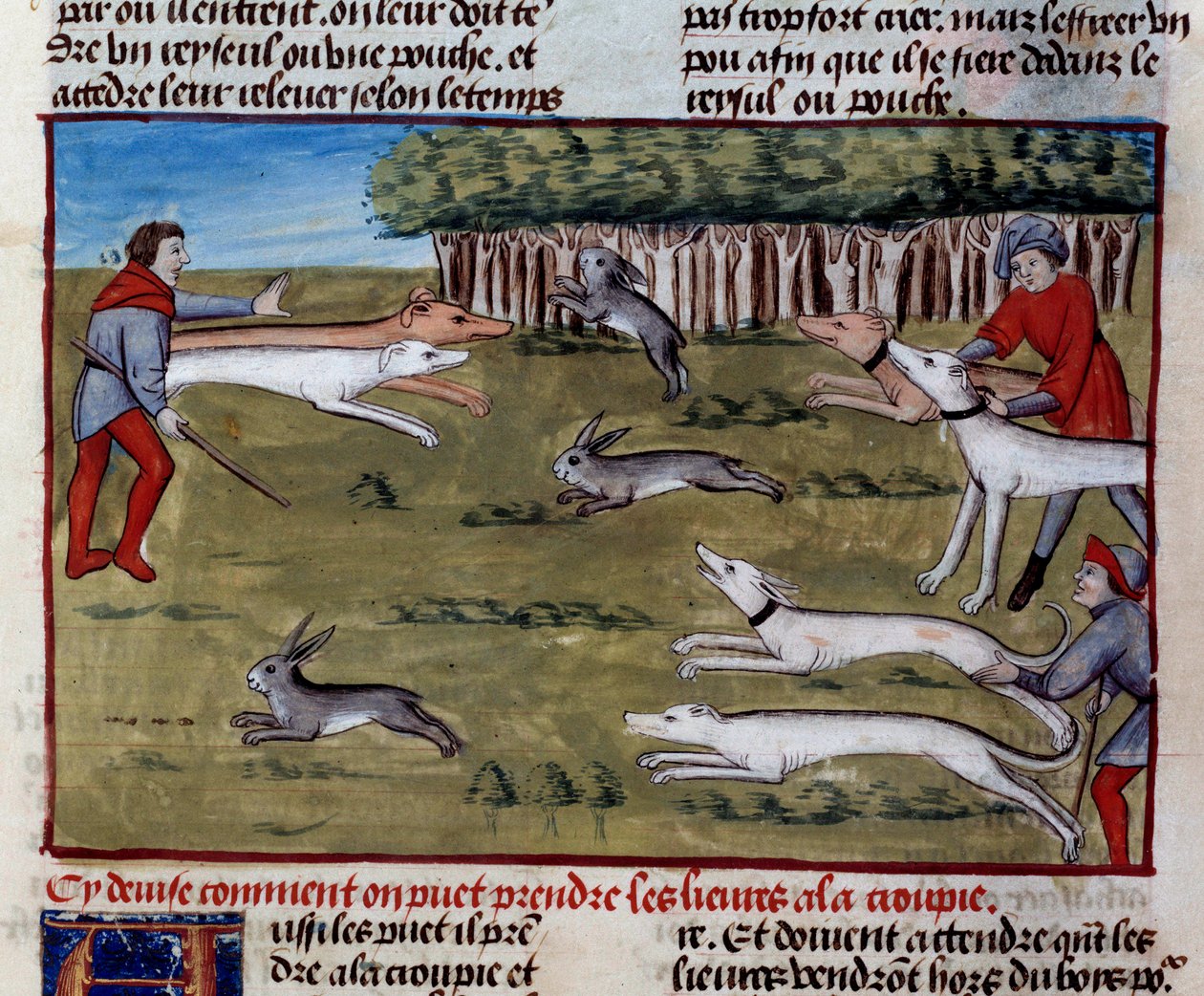 Jäniksenmetsästyksen miniatyyri Gaston III Phoebusin, Foixin kreivi, Bearnin herra (1331-1391) "Metsästyksen kirjasta" tekijältä Unknown artist