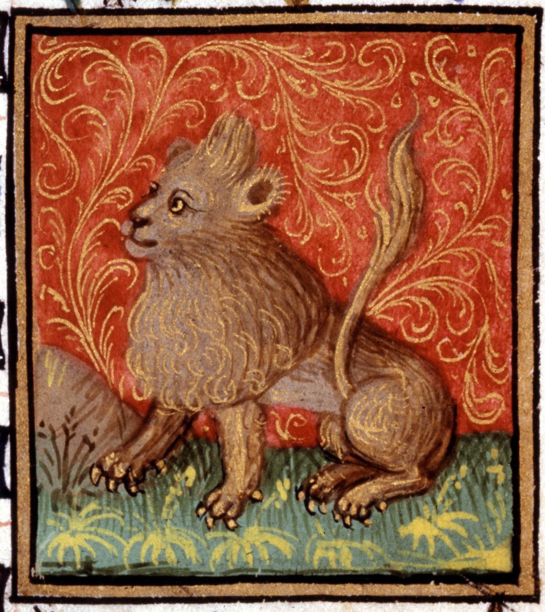 Leijona. Horoskoopin miniatyyri. 1500-luvun käsikirjoitus. Bibl. Trivulziana, Milano. tekijältä Unknown artist