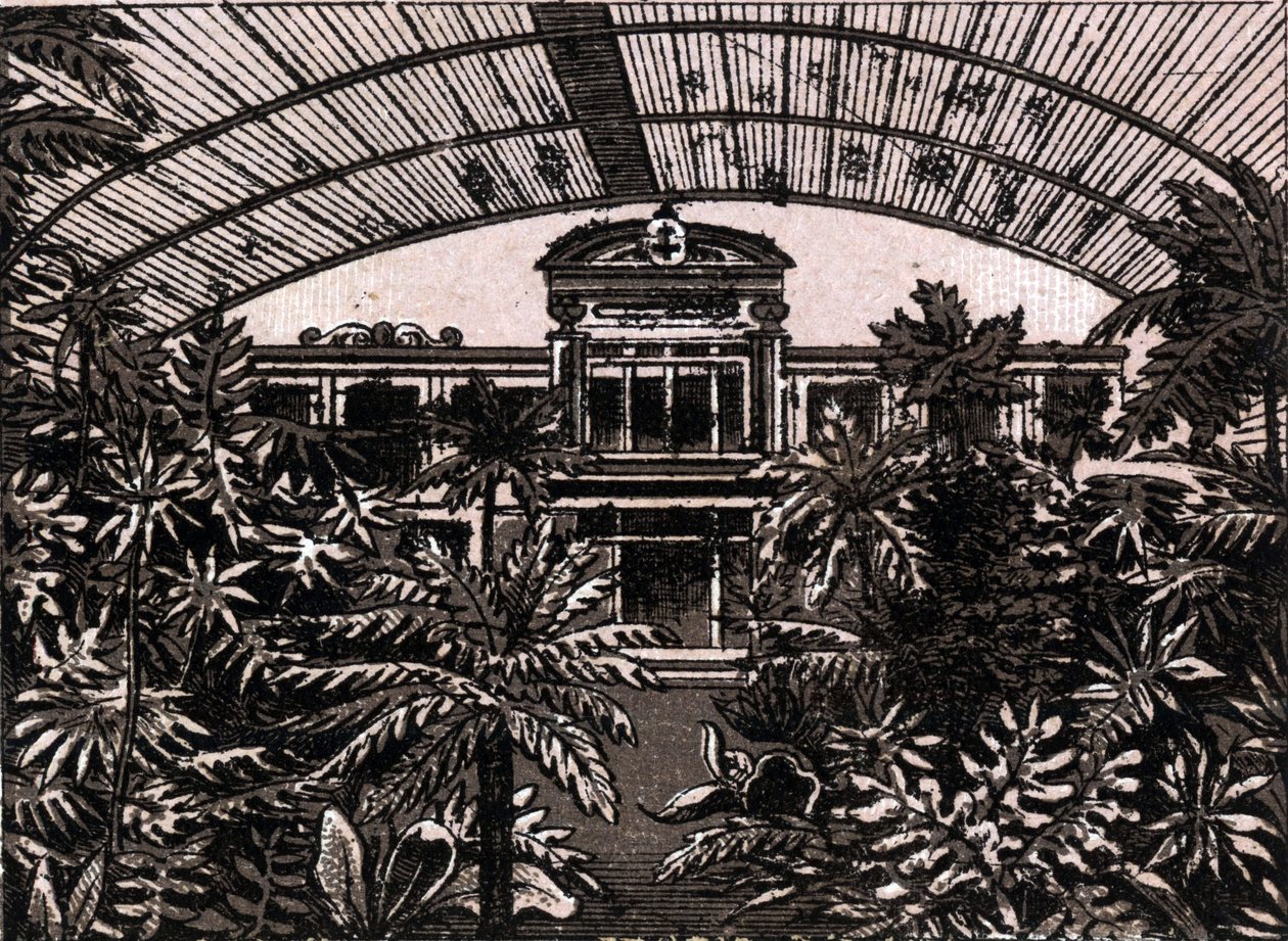 Palmupuutarha Frankfurtissa, Saksassa (Frankfurt, Saksa) teoksessa "Maailma havainnollistaa 168 näkymää" päivätty (1800-luvun loppu) tekijältä Unknown artist