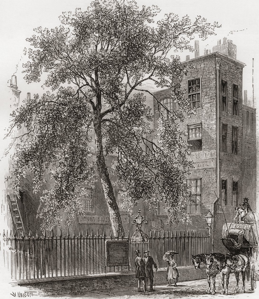 The Plane Tree, Wood Street, Cheapside, Lontoo, Englanti 1800-luvulla. tekijältä Unknown artist