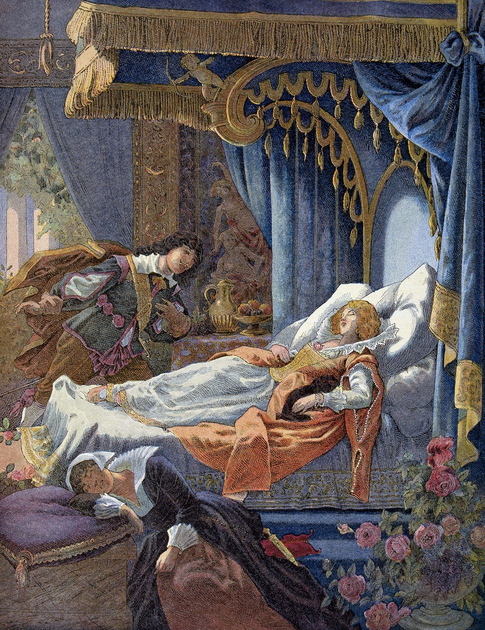 Perraultin Prinsessa. 1800-luvun kromolitografia. tekijältä Unknown artist