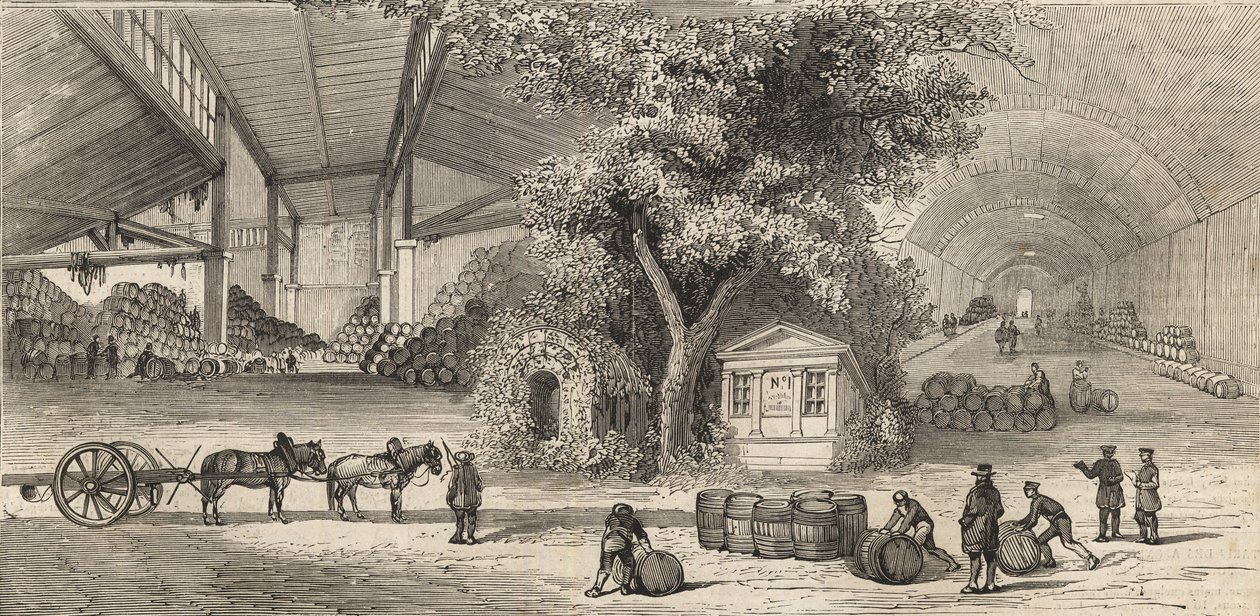 Viinivarasto Pariisissa vuonna 1861 - luolat - tekijältä Unknown artist