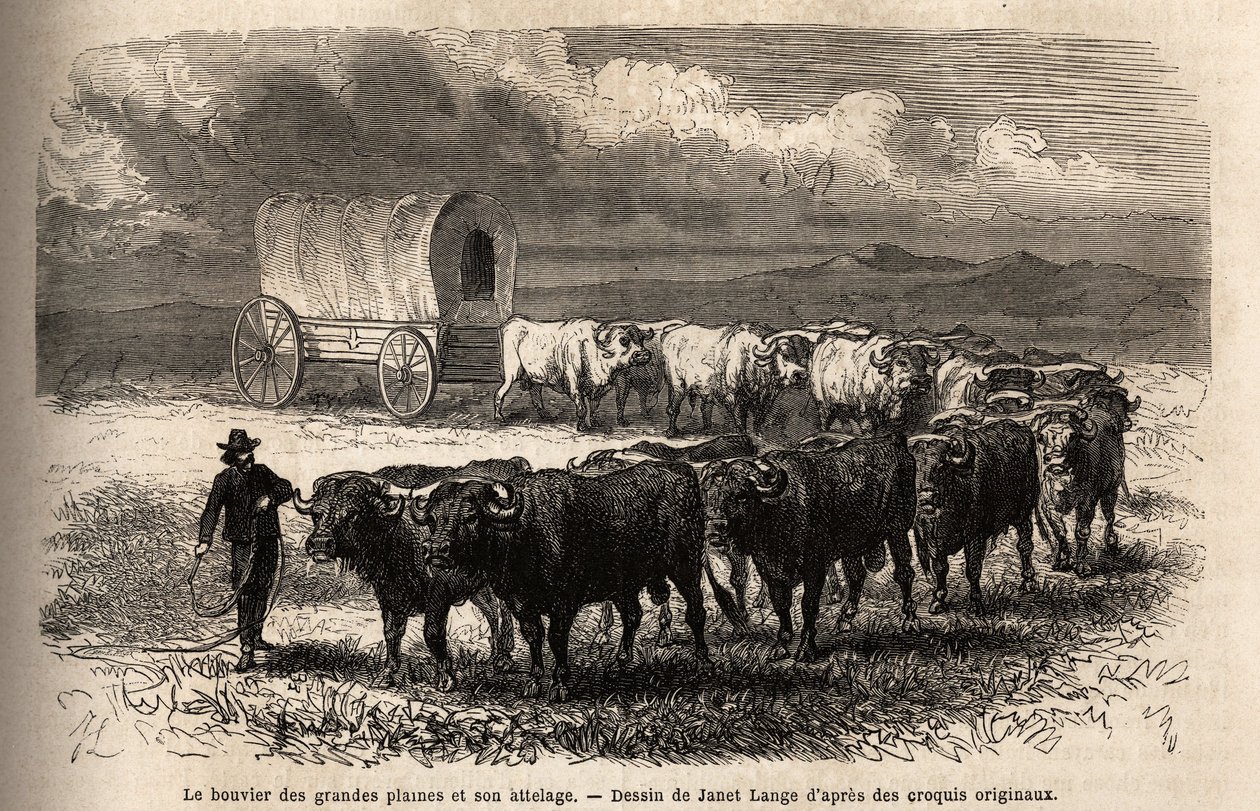 Isot tasangot ohjaavat ja sen vetokoukku. Kaiverrus havainnollistamaan matkaa Amerikan kaukaa länteen, M. L. Simonin, vuonna 1867, julkaistiin "Le tour du monde, nouveau journal des voyages" -lehdessä, toimittanut Edouard Charton tekijältä Unknown artist