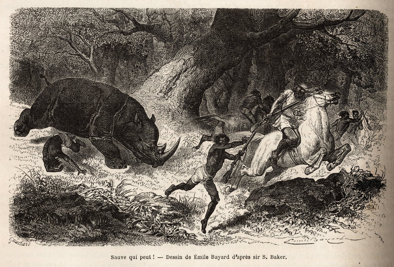 Sarvikuonon panos, joka kaataa ja vangitsee metsästäjät etsiessään kirjailijaa ja hänen oppaitaan. Sir Samuel W. Bakerin kaiverrus, joka havainnollistaa Niilin Abessinian sivujokien tutkimusta vuosina 1861-62, julkaistu "" Le tou -lehdessä tekijältä Unknown artist