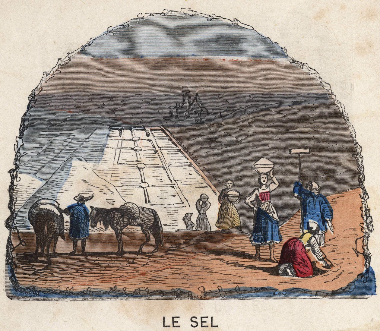 Suolan kokoelma. 1800-luvun kuvitus. Bianchetti kokoelma. tekijältä Unknown artist