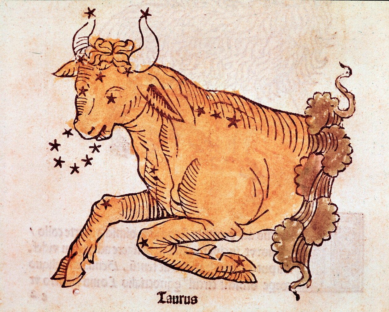 Härän tähdistö Yksityiskohta on peräisin "" Poeticon astronomiconista"", joka johtuu roomalaiselle historioitsijalle Hyginille (Gaius Julius Hyginus) (1. vuosisadalla eKr.) (Härän tähdistö, "" Poeticon astronomiconista"", joka on liitetty Hyginukselle (1.  tekijältä Unknown artist