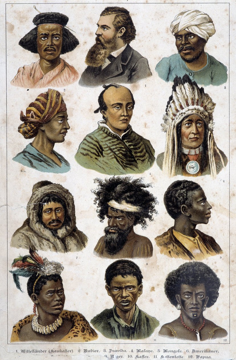Eri ihmisrodut - julkaisussa "Nisäkkäiden luonnonhistoria", toim. Schreiber tekijältä Unknown artist