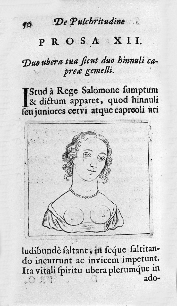 Naisellinen rintakehä. Sivu otettu "Fysiologisen kauneuden tutkimuksesta" käsittelee Ernesto Veniota (Ernestus Vaenius) puolustamassa luomakunnan kauneutta nimetöntä vastustajaa vastaan. 1612 tekijältä Unknown artist