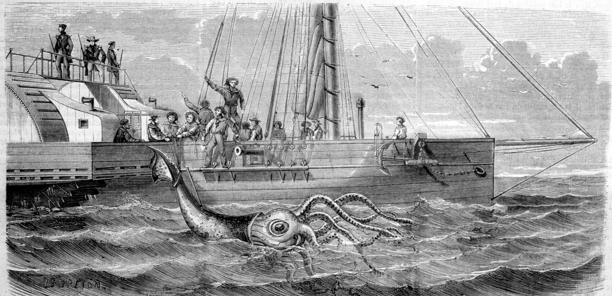 Ensimmäinen jättiläinen kalmari, jonka ranskalainen korvetti Alecton pyysi vuonna 1861. Kun miehistö nosti hänet kyytiin, hän katkesi puoliksi ja katosi meren pohjaan. Kaiverrus 1800-luvun lopulta. bretoni tekijältä Unknown artist