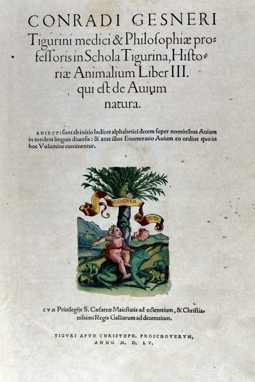Conrad Gesnerin (1516 - 1565), Tiguri, Historia Animaliumin kolmannen osan etulevy tekijältä Unknown artist