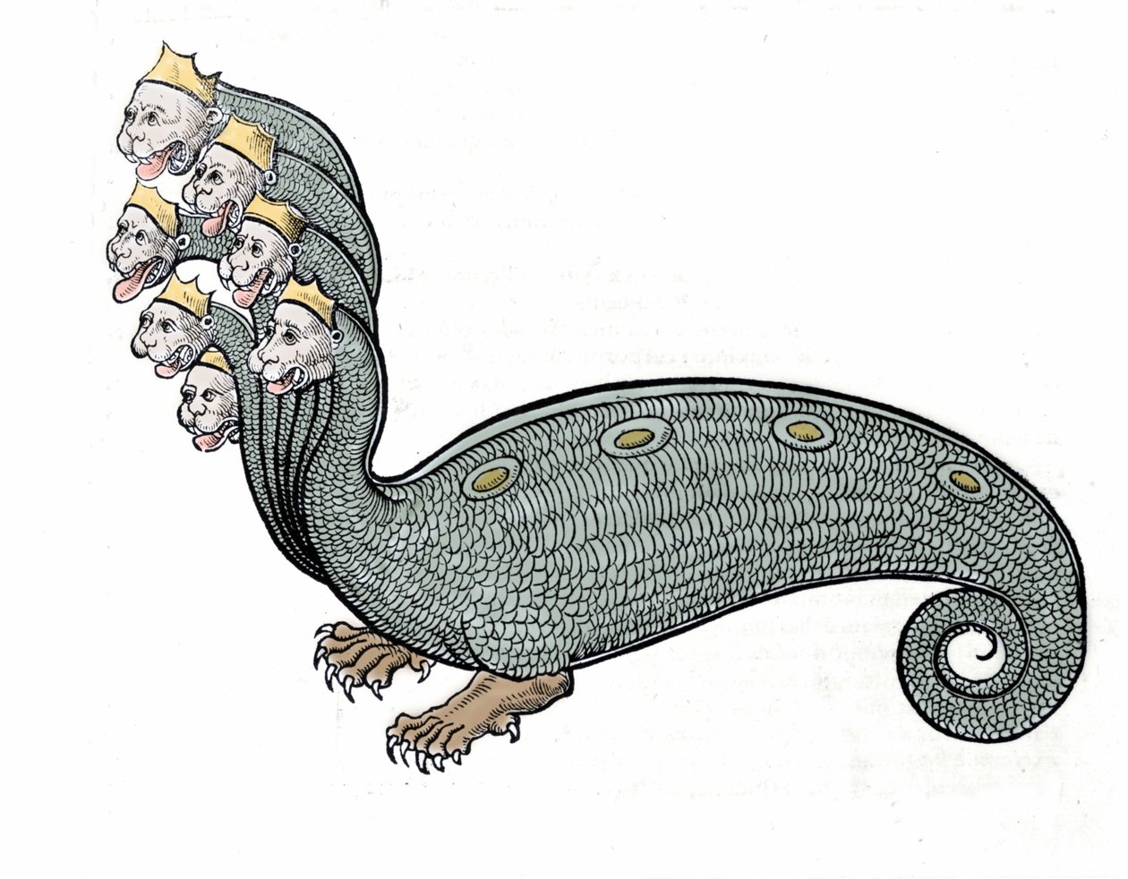 Seitsemänpään hydra on vesikäärme, jolla on koiran ruumis. tekijältä Unknown artist