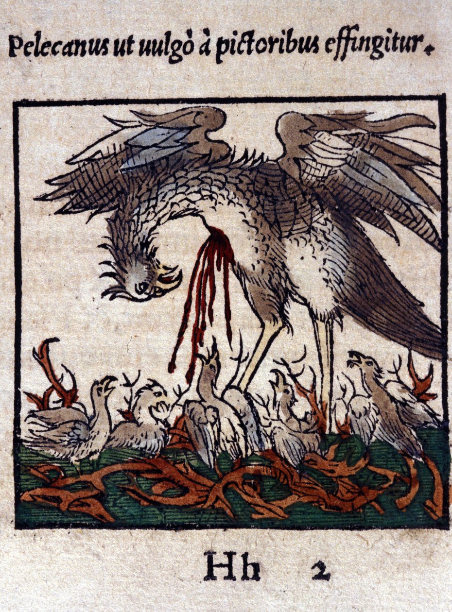 Pelikaanin legenda: hän antaa verensä ja suolinsa ruokkiakseen poikasia. Historiae animalium, Konrad Gesner, Tiguri tekijältä Unknown artist