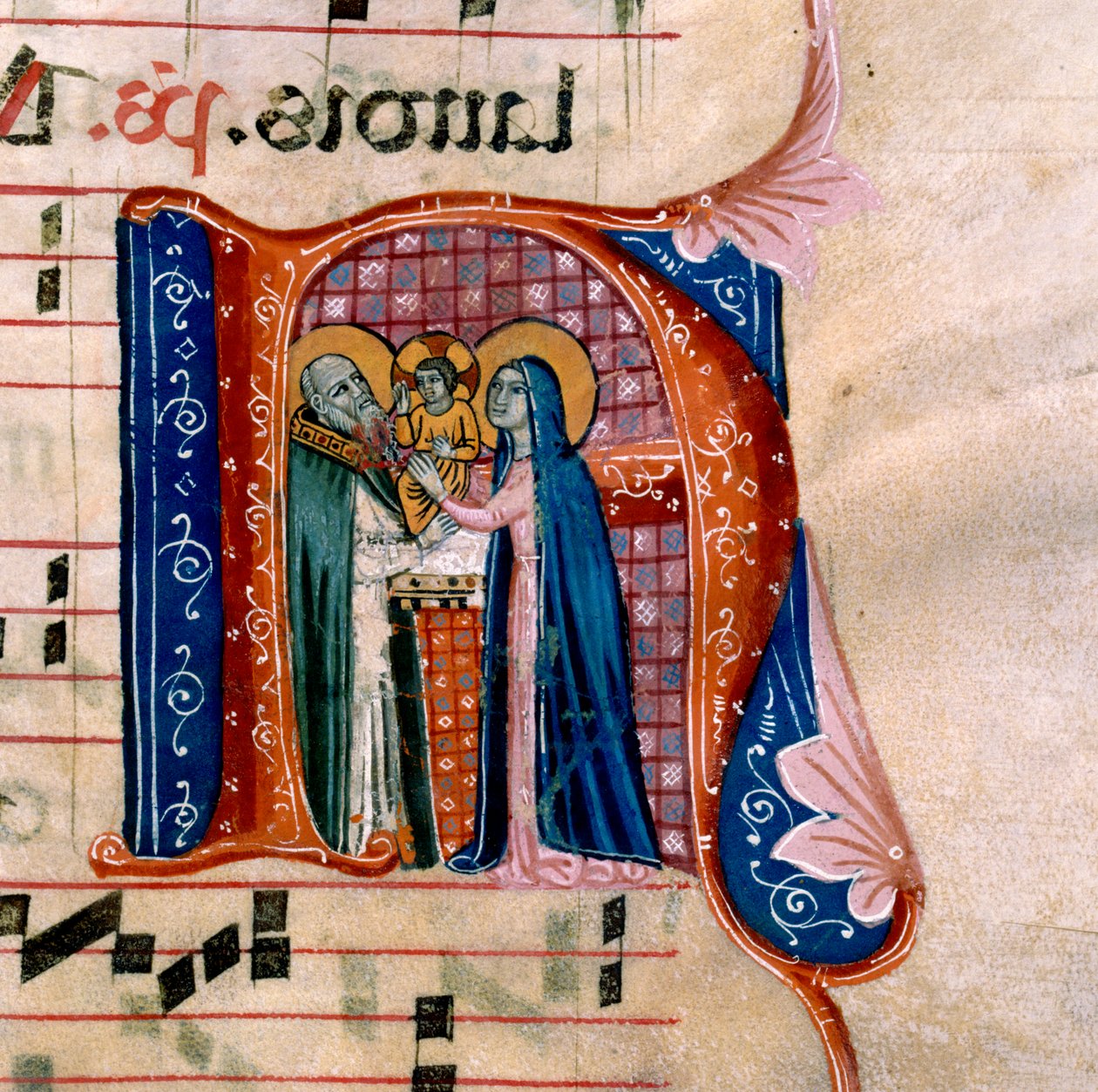 Kirjain "N", joka kuvaa esitystä temppelissä: Antifonian f.36v tekijältä Unknown artist