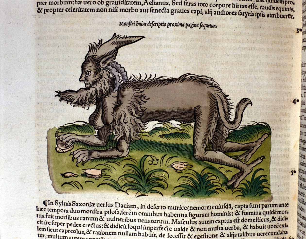 Manticore Conrad Gesnerin Historia Animaliumista, Tiguri 1560. Biblioteca nazionale Braidense. Milano tekijältä Unknown artist