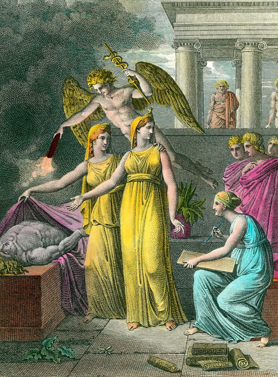 Tutkimuksen johtama lääketiede on saanut uusia anatomisia havaintoja maalauksen Kaiverrus 1800-luvun kokoelman silmissä. tekijältä Unknown artist