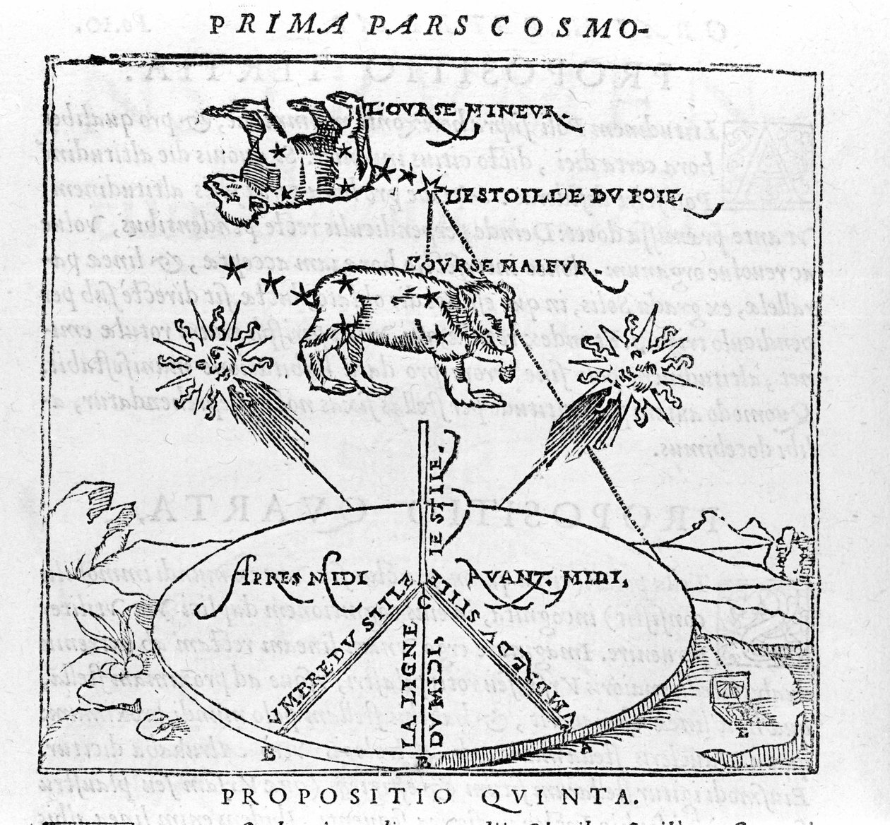 Napatähti ja Karhun tähtikuviot Pietro Apianuksen "kosmografian" jälkeen. Pariisi 1551 tekijältä Unknown artist