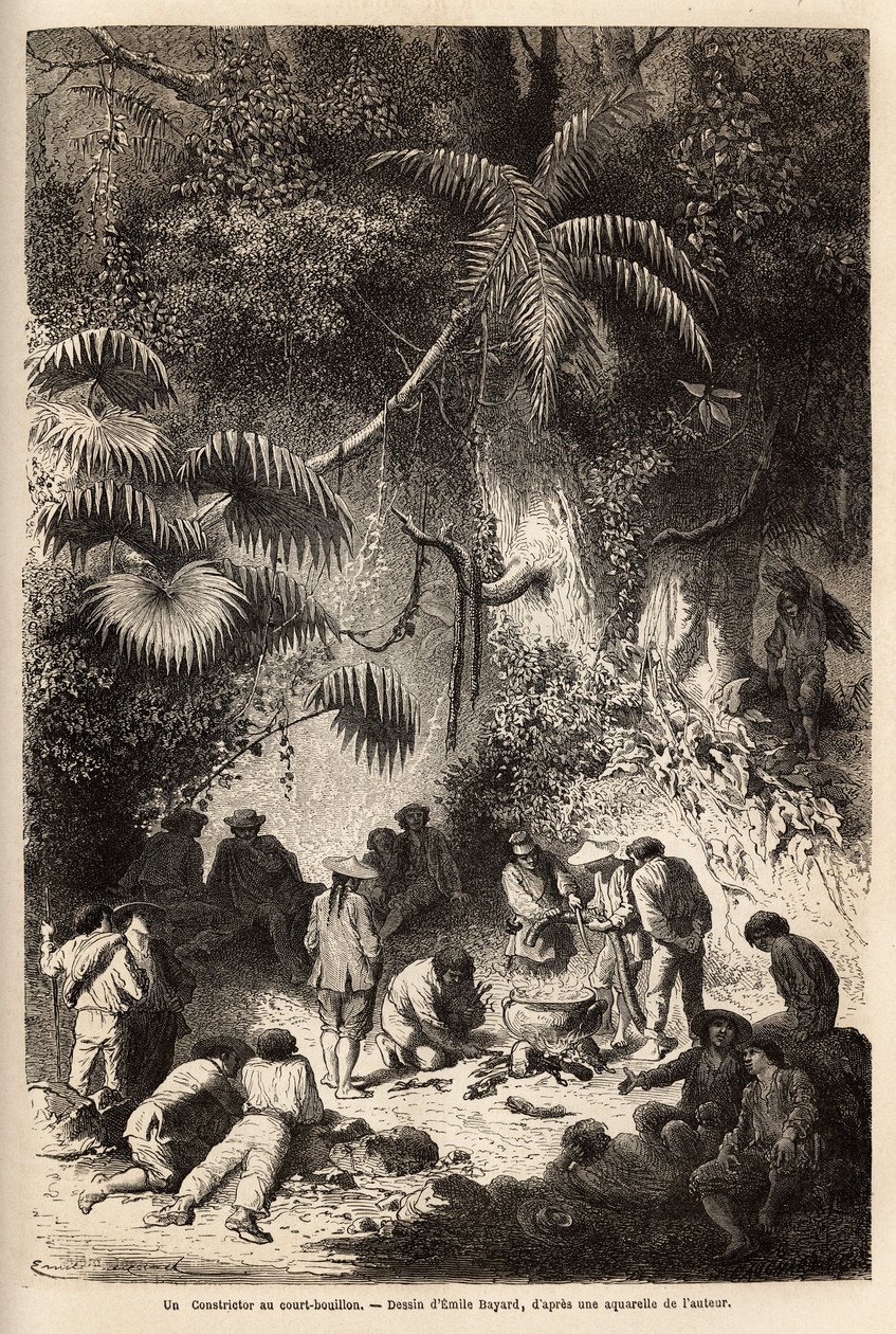 Aterian valmistus turmeltumattomassa metsässä Caravayan laaksossa (Andes cordilliere), boa-kurpitsa lyhyellä liemellä. Kaiverrus pour illustrrer le voyage dans les vallees de Quinquinas (Peru), Paul Marcoy, vuosina 1849-1861, julkaistu "" Le tou -lehdessä tekijältä Unknown artist