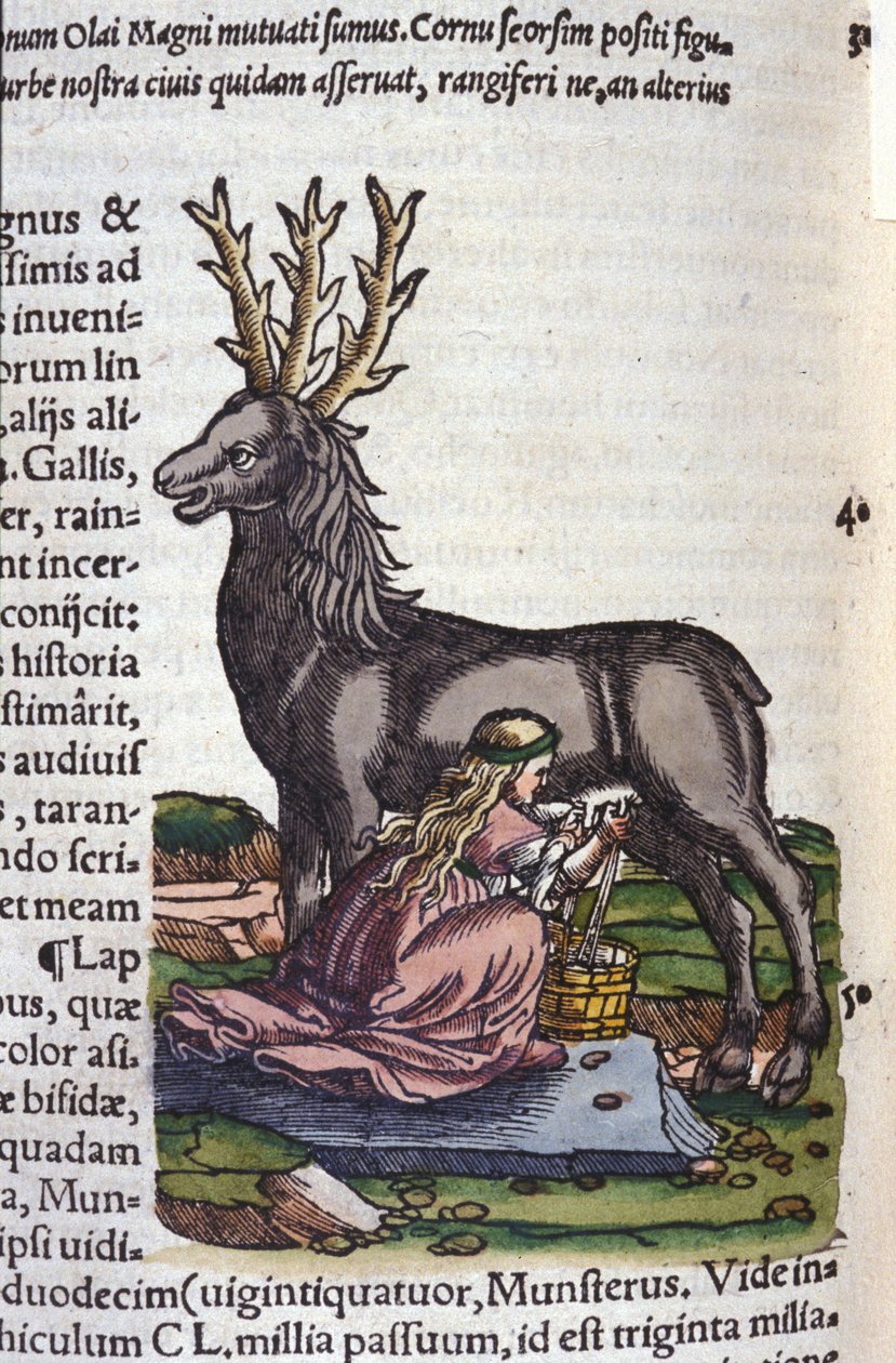 Porokauppa Konrad Gesnerin Tigurin Historia animaliumin jälkeen tekijältä Unknown artist