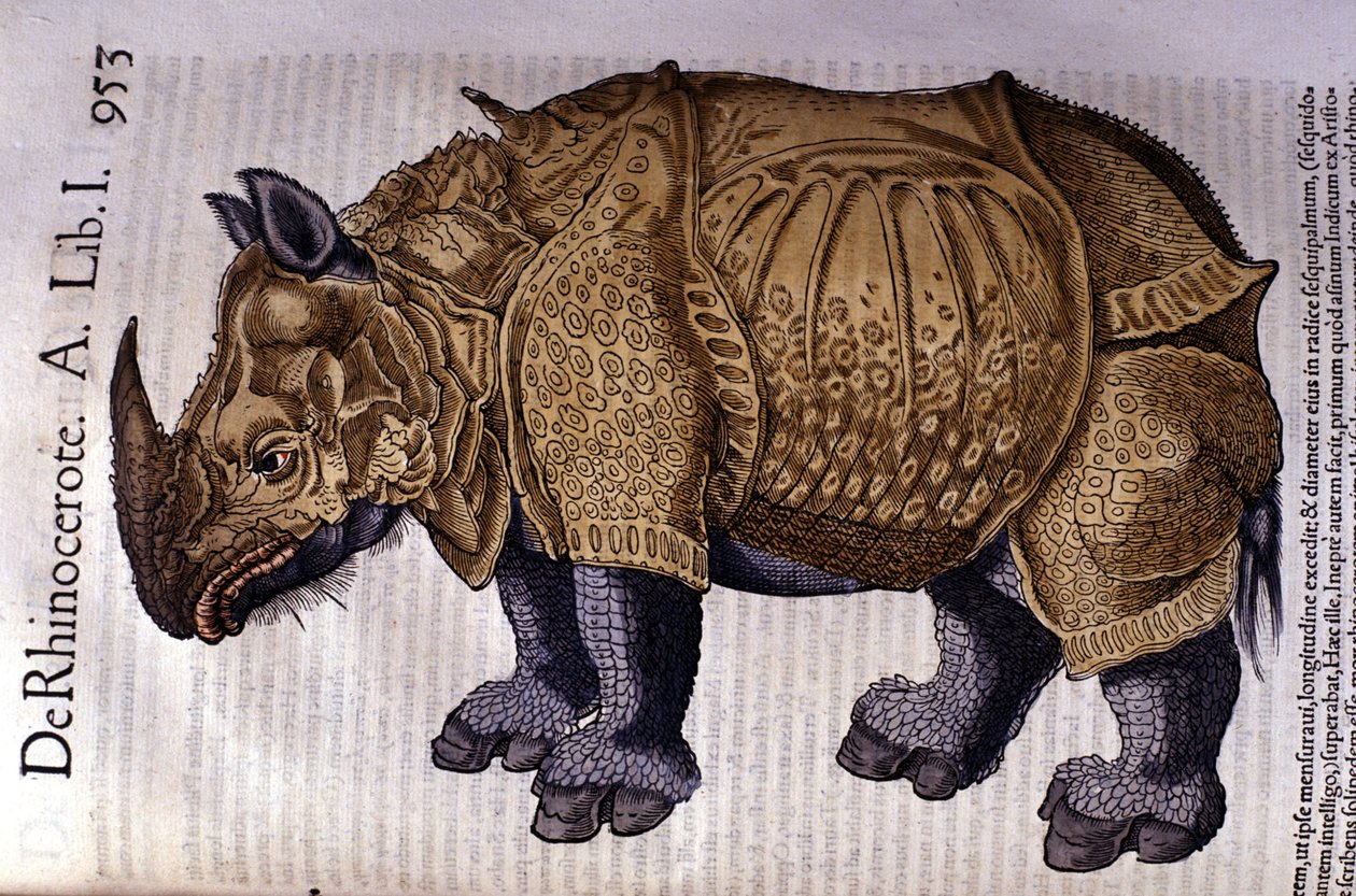 Sarvikuono Conrad Gesnerin "History of the Animals" mukaan, Tiguri 1560 tekijältä Unknown artist