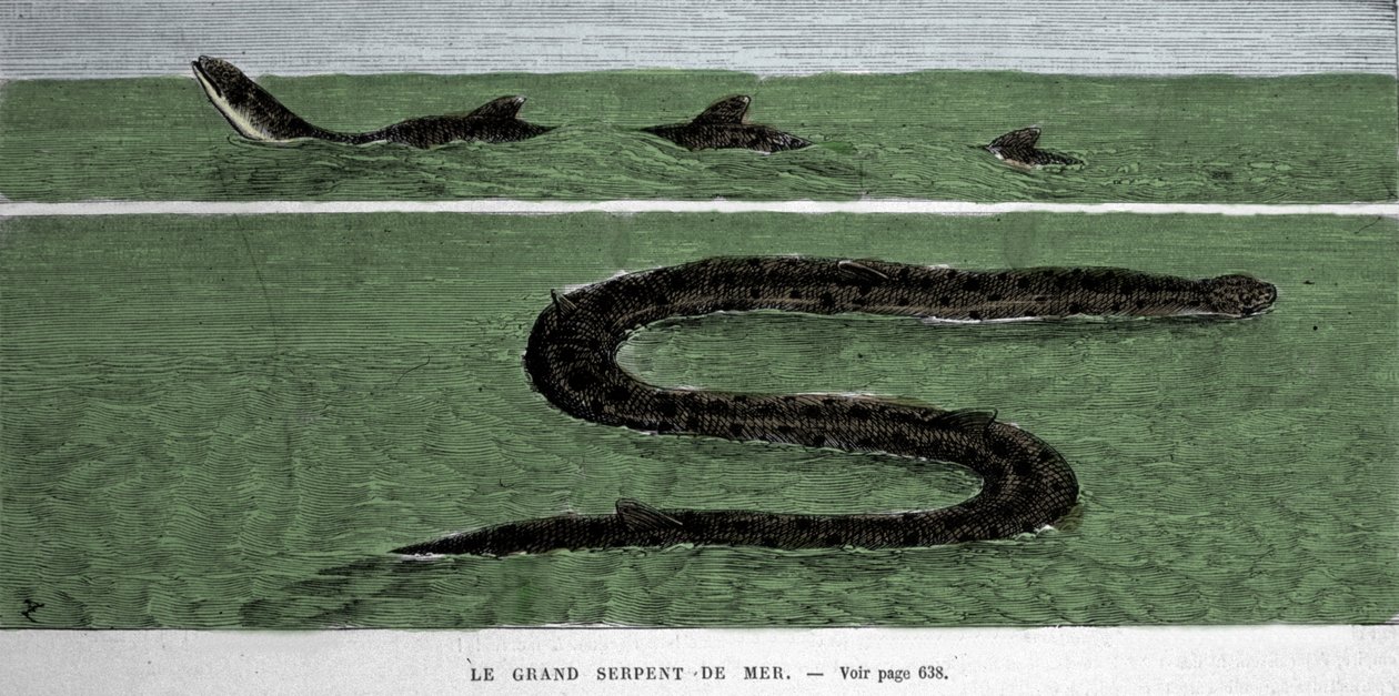 Merikäärme havaittiin Meridional Atlantilla vuonna 1872. tekijältä Unknown artist