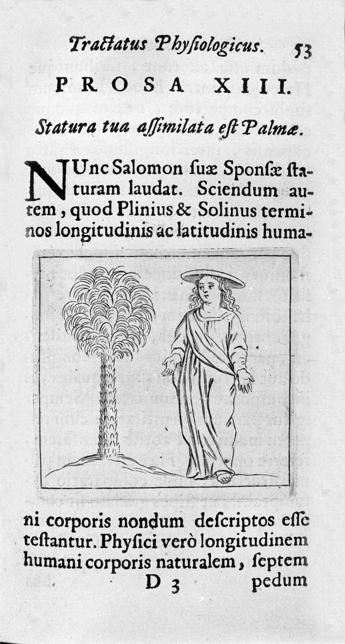 Naisen koko. Sivu otettu teoksesta "Tractatus physiologicus de pulchritudine"" käsittelee Ernesto Venioa (Ernestus Vaenius) puolustamassa luomakunnan kauneutta nimetöntä vastustajaa vastaan. 1612 tekijältä Unknown artist