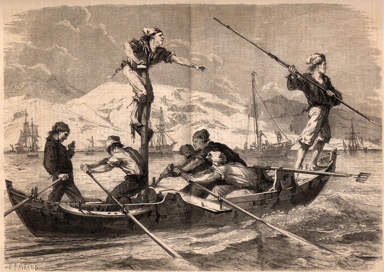 Miekkakalan harppuunakalastus (pesce spada, miekkakala) Sisilian rannikolla Italiassa vuonna 1862. Kaiverrus "Le Monde illustrious"" vuodelta 1862. Yksityinen kokoelma. tekijältä Unknown artist