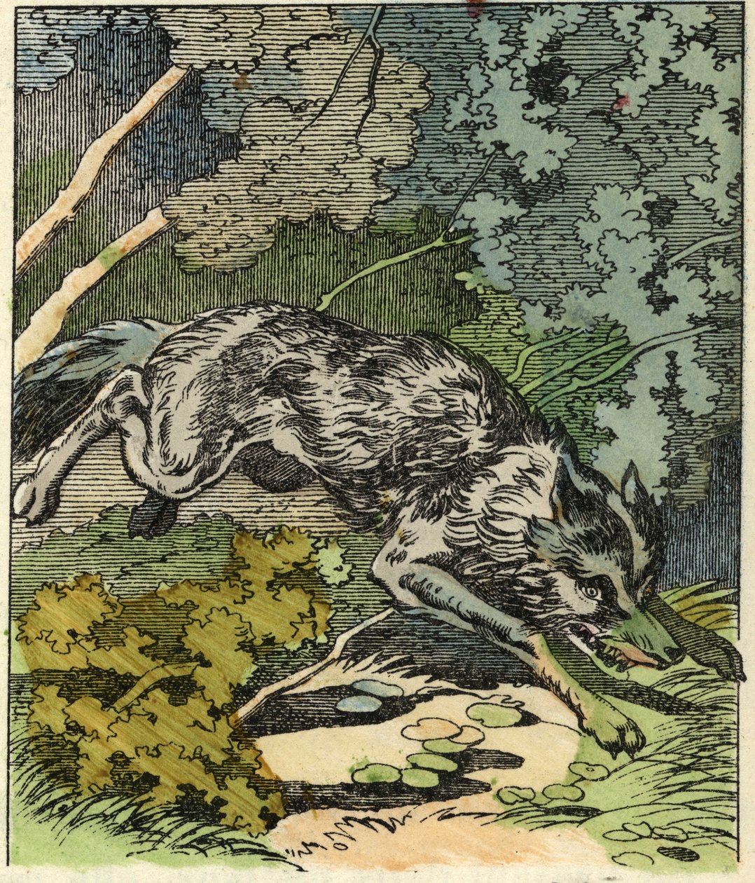 Susi juoksee isoäidin taloon. Kuvitus Charles Perraultin tarinasta "Punahilkka". tekijältä Unknown artist