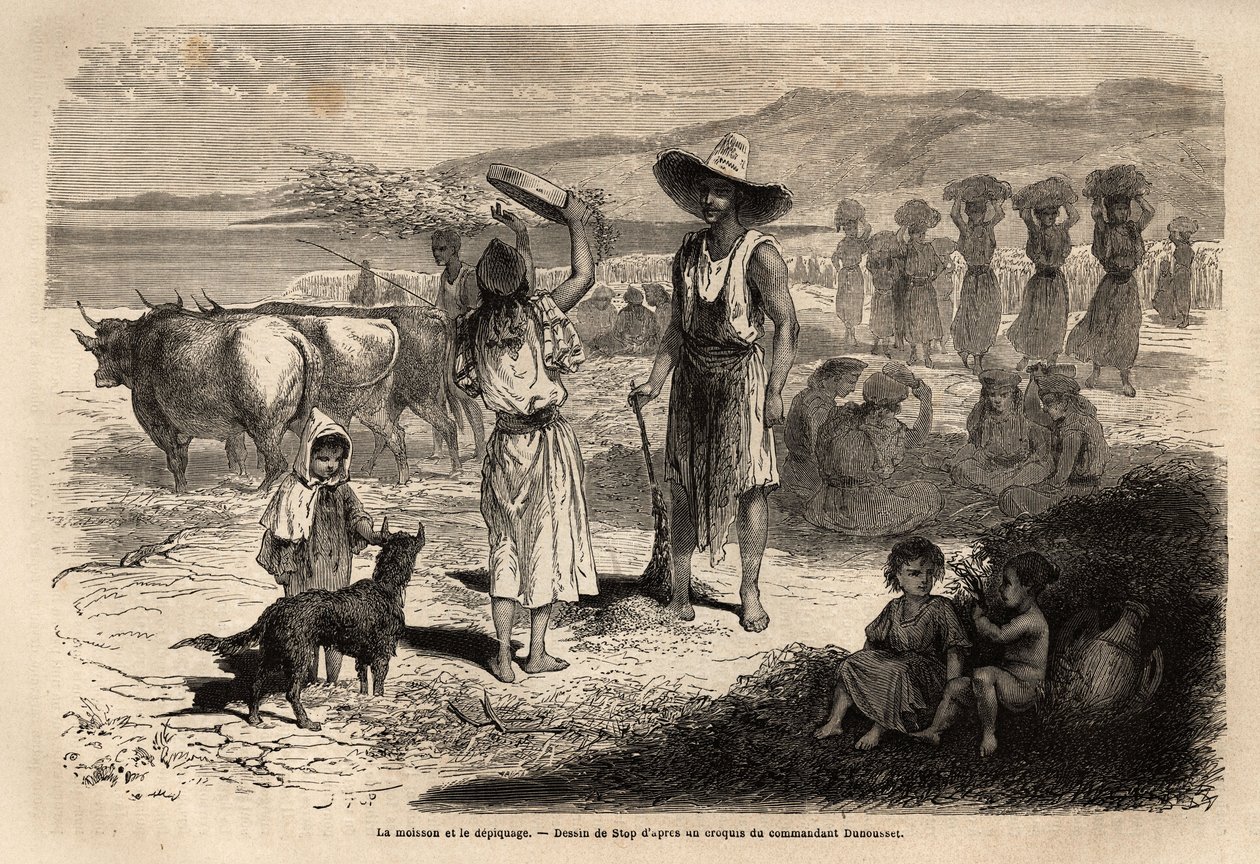 Vehnän sadonkorjuu, sadonkorjuu ja poimiminen Djurjurassa (Algeria); ympyröissä istuvat naiset lyövät episiä pyöreillä nuijailla, toiset heittävät oljet ja jyvät tuuleen suurella seulalla, sitten maaperän lakaisu mahdollistaa viljan uudelleen tekijältä Unknown artist