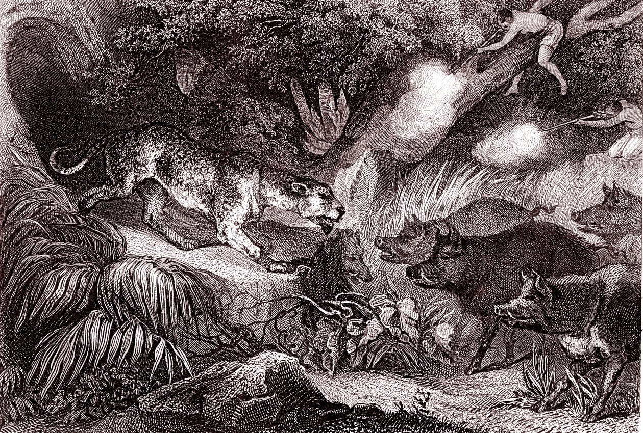 Tiikerinmetsästys Amazonin metsässä(kaiverrus) tekijältä Unknown Artist
