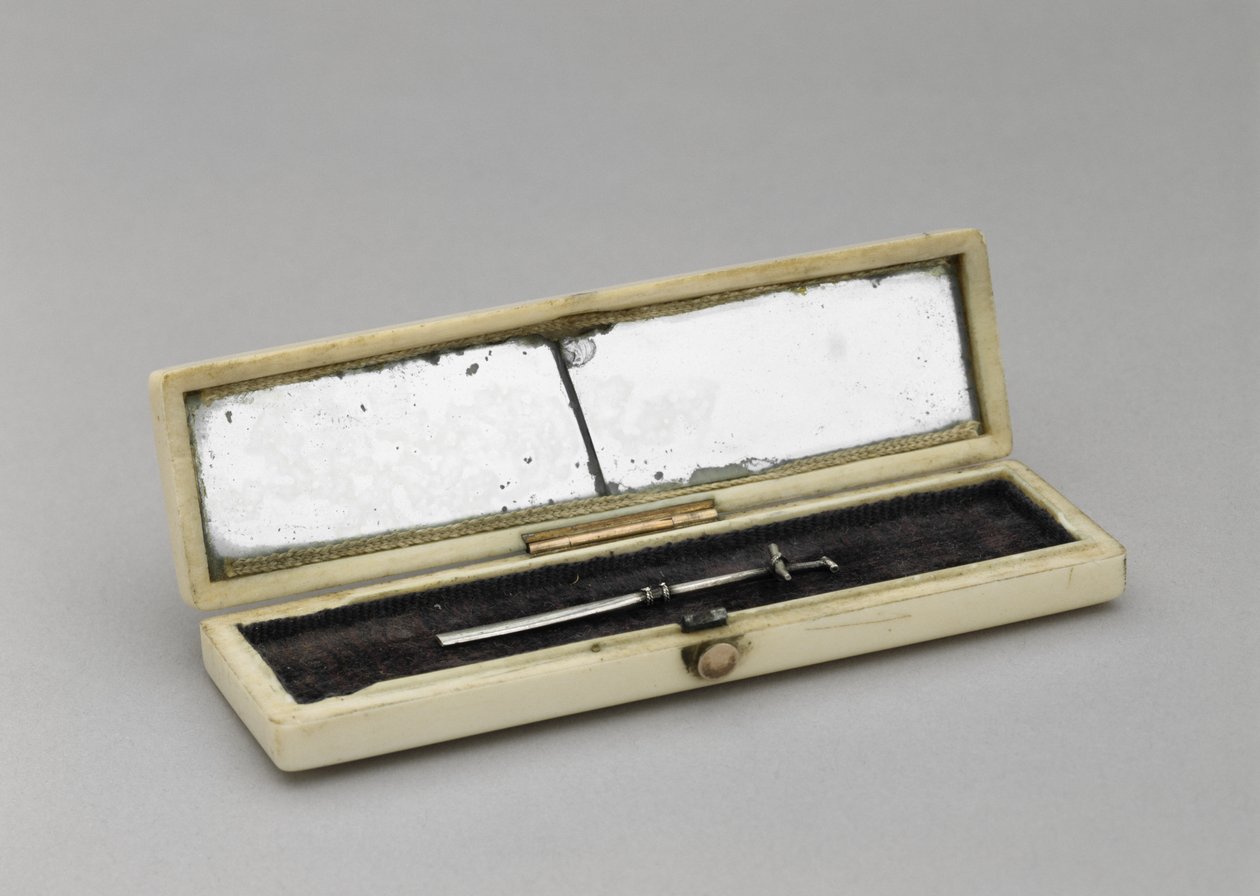 Hammastikkukotelo, c. 1840-1880 (norsunluu, hopea, peililasi, sametti) tekijältä Unknown artist