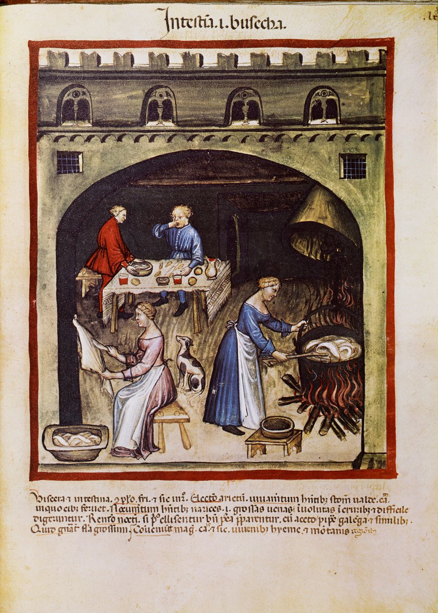 Hoitaa lääkettä: "" keittää eläinten suolit ja suolistot"". Sivu otettu julkaisusta "" Tacuinum sanitatis"" (Cod. ser. nov. 2644) Noin 1400 Wien, Osterreichische Nationalbibliothek tekijältä Unknown artist