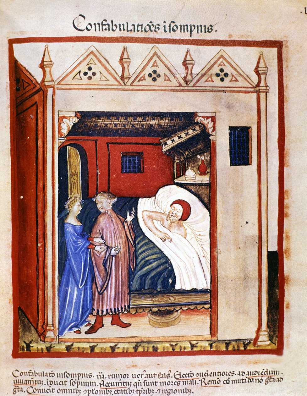 Lääketieteellinen traktaatti "Tacuinum sanitatis" 1300-luku: ihmiset puhuvat nukkuessaan. 1300-luvulla. B.N, Wien. tekijältä Unknown artist