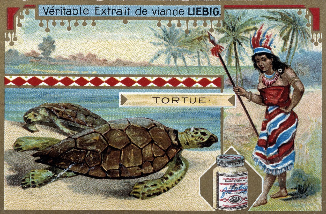 Kilpikonna, jolla on Etelä-Amerikan kotoisin pukeutunut nainen ja metsästyskeihäs - Liebig-kromolitografia tekijältä Unknown artist