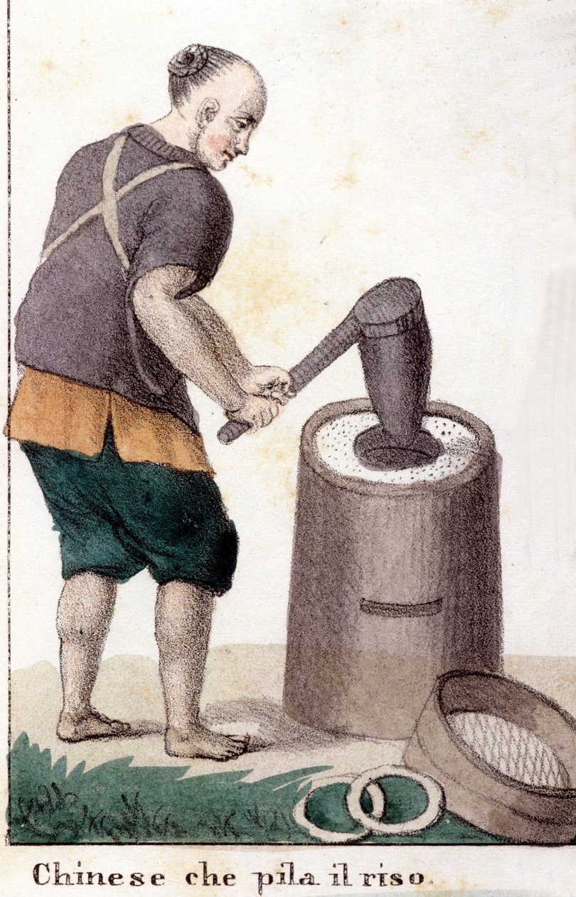 Un chinese qui pille le riz - in Kaikkien maailman kansojen yleispuku tekijältä Unknown artist