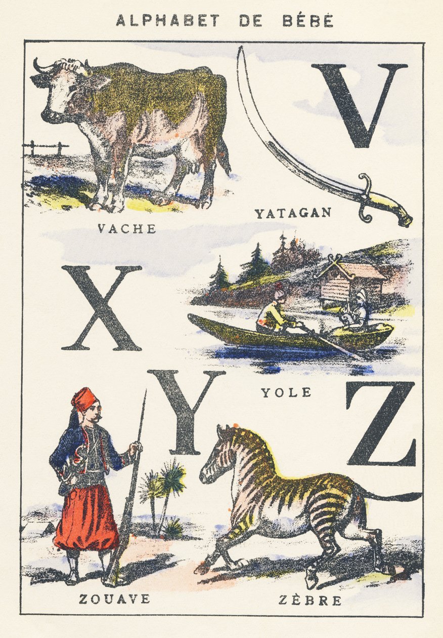 V X Y Z: lehmä, yole, zouave, seepra tekijältä Unknown artist